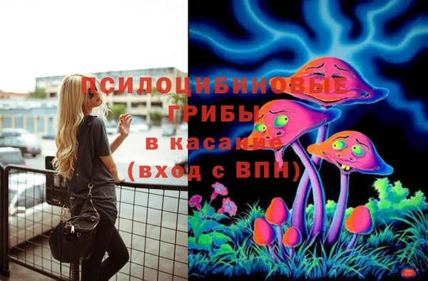 дживик Зерноград