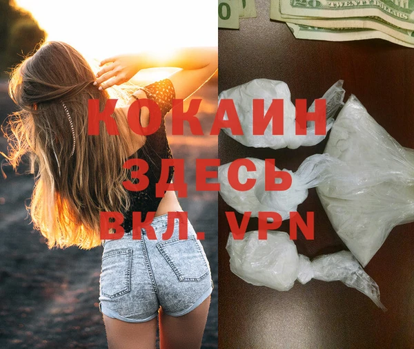 кокс Инсар