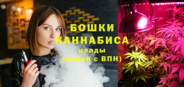 прущая мука Инта