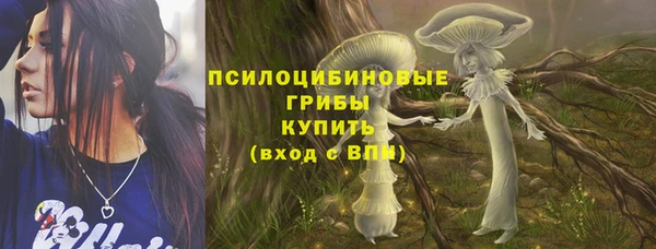 прущая мука Инта